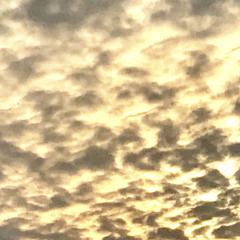 electrosmog 2022 Part 2.wav