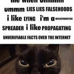Lying and Falsehoods and Whatnot