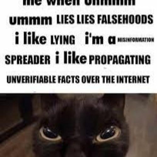 Lying and Falsehoods and Whatnot