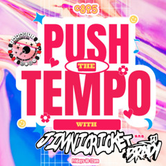 DJ Brady Guest Mix (Part 2) On Jimnicricket's Push The Tempo Show on C89.5
