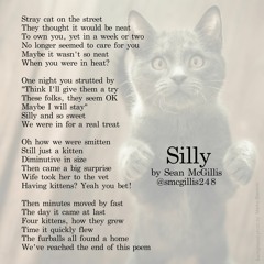 Silly : written by Sean McGillis : read by @megwaf