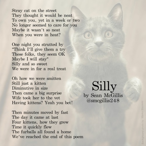 Silly : written by Sean McGillis : read by @megwaf