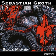 RWSTD98 - Sebastian Groth - Black Mamba (Original Mix)