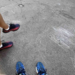 sensé faire (hatemi)