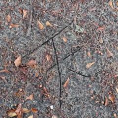 dreaming banished zones 3