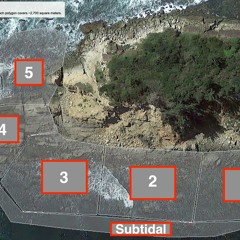 Untitled - 5:24:21, 1.12 AM