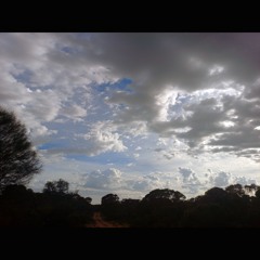 2025.12.06 Dawn Chorus with Thunder. Kurangk/Coorong. Early Summer.