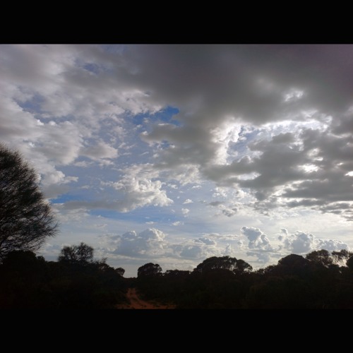 2025.12.06 Dawn Chorus with Thunder. Kurangk/Coorong. Early Summer.