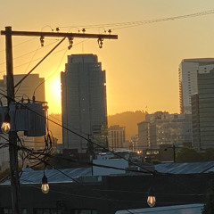Sunrise Mix