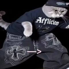 waka (leak)