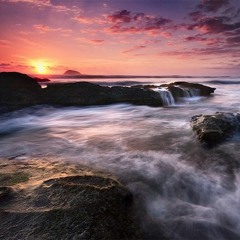 Sultan + Shepard vs Taylor Swift - PacificAnti Hero