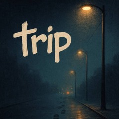 trip/