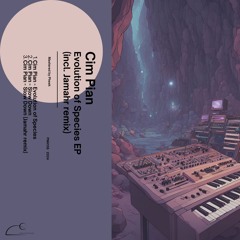 Cim Pian - Slow Down [PNH139] [PREMIERE]