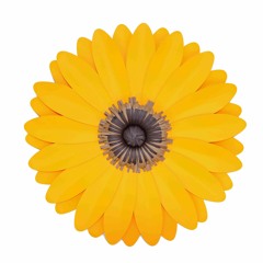 CATEDRAL - Zelia Ducan (feito com Spreaker)