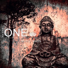 𝗪𝗲 𝗔𝗿𝗲 𝗢𝗻𝗲 - Intepretation by Noble Spirits