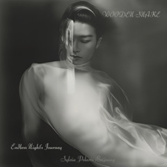 Wooden Snake, Endless Night's Journey (长夜漫漫)