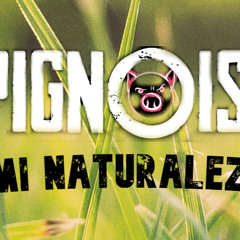 Pignoise - Mi Naturaleza