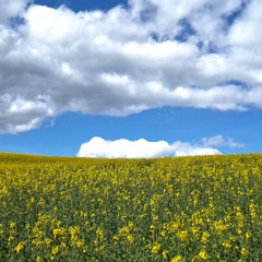 Chilliger Sonntag (EMX)