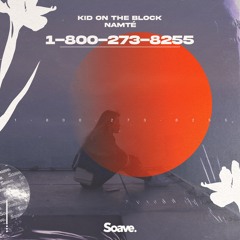 Kid On The Block & Namté - 1-800-273-8255