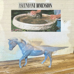 Ascendant Dimension Chapter XXIII
