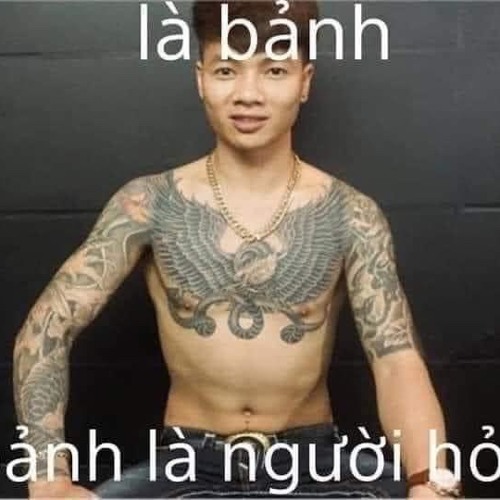 ôi dm đời luôn này