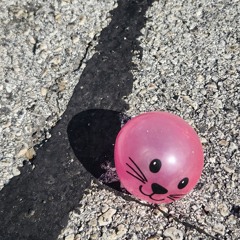 Sponge Cake / Spaghetti Squash