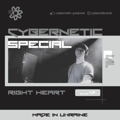 Cybernetic Special __17 by Right Heart
