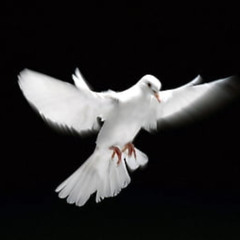 reconciliation