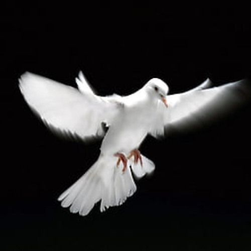 reconciliation