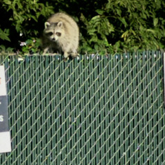 destiny (prod. Sogimura)