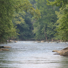 You Don_t Know Me At All