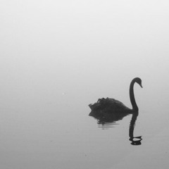 black swan (take me to the stars) [prod. xy1va]