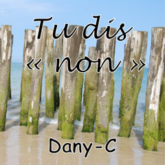 Tu dis "Non" (mix)