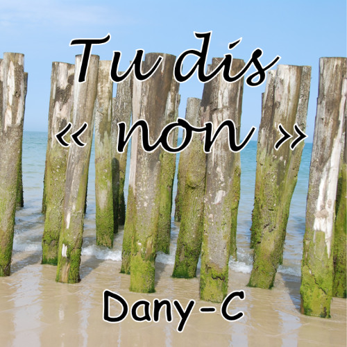 Tu dis "Non" (mix)