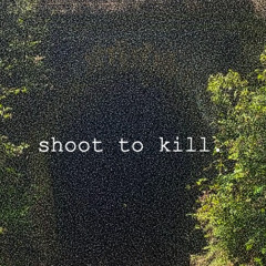shoot to kill (demo)