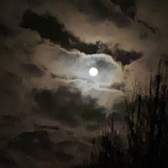 FxxEver Kelly x TJ Steez - NO HEROES