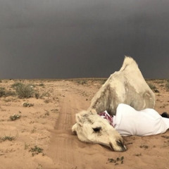 محد سأل عني؟