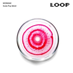 Loop