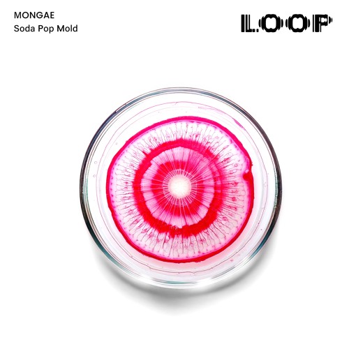 Loop