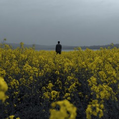 Gallop - Illusional Bliss