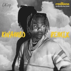 CKay - Emiliana (Kwambo Remix)
