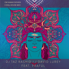 Om Namah Shivaya (Chill House Mix) [feat. Praful]