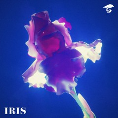 Issue Three | IRIS