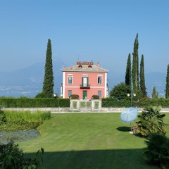 Tube & Berger - Disarray (o FLEXi o)