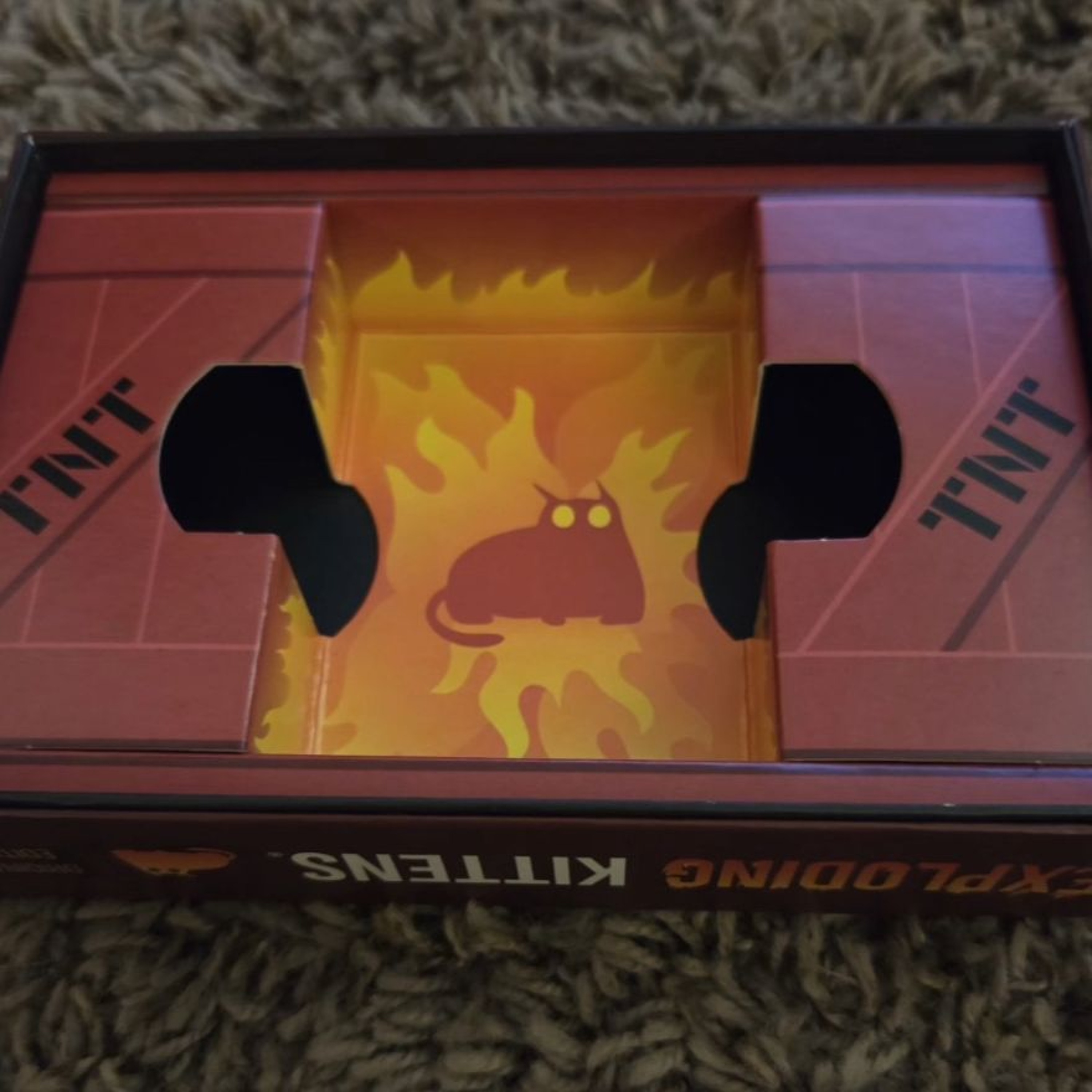 Dorene Discovers Exploding Kittens (1/2/26)