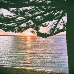 Being There