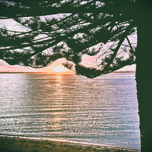 Being There