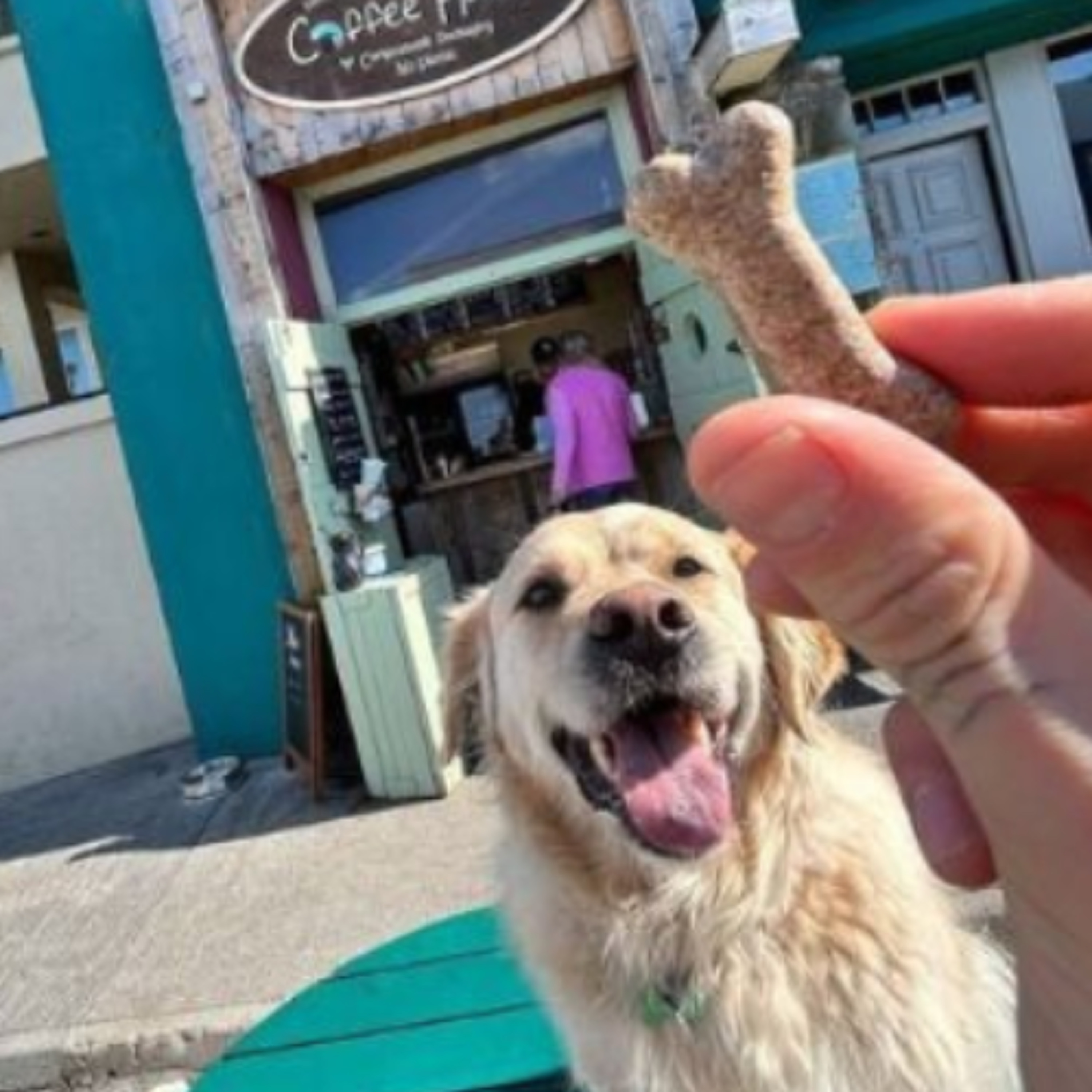Coastal Businesses Bask In Heatwave Boom episode artwork