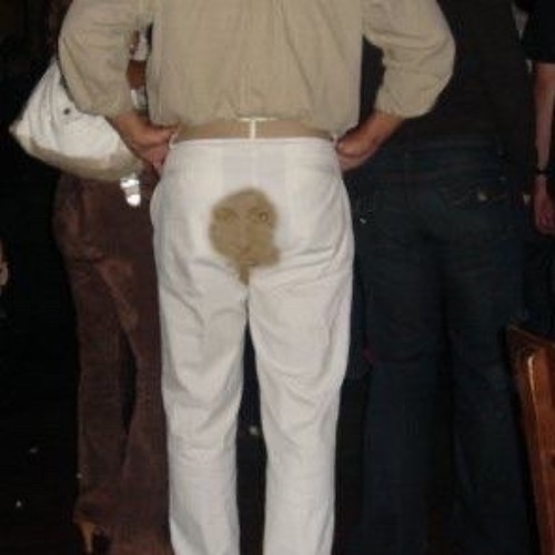 THE SHART