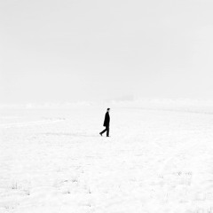 In The Silence